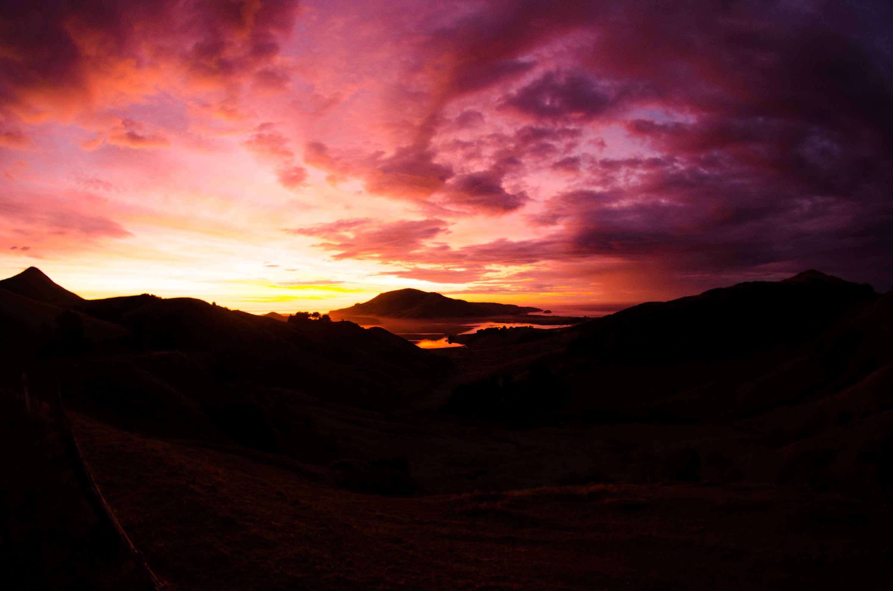 DSC_0902 – new, new zealand, zealand, nz, otago, otago may 16, crispin, harbour